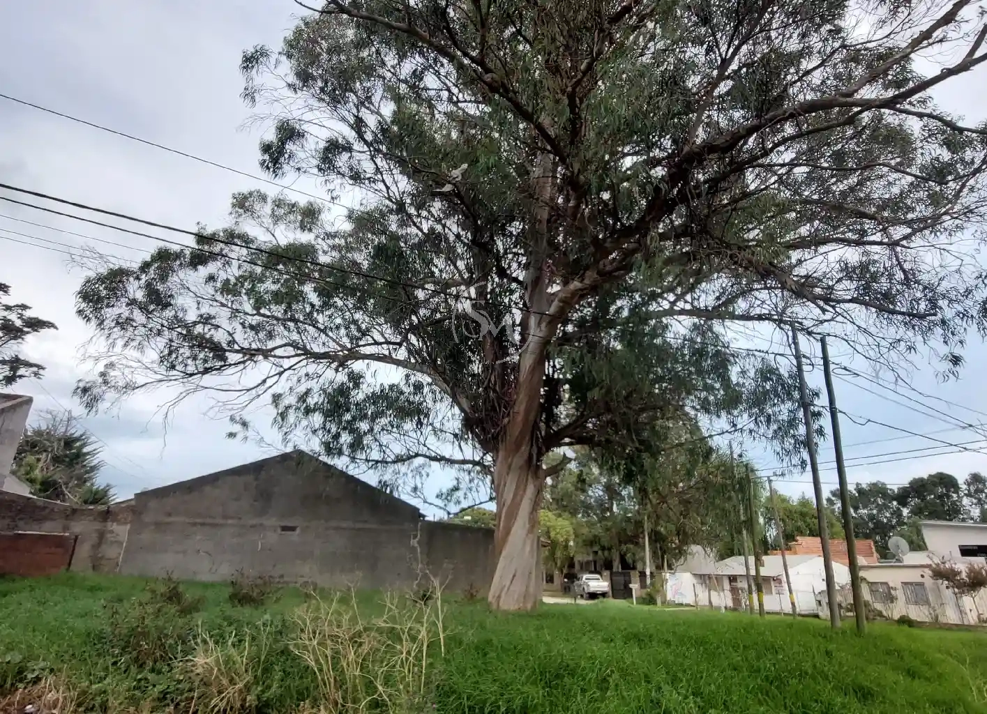 SANCHEZ MARSICO PROPIEDADES - LOTE- FRACCIóN